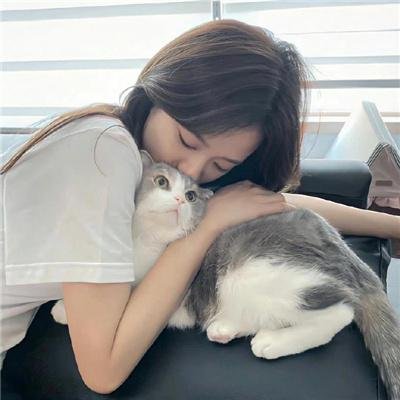 老友记第九季